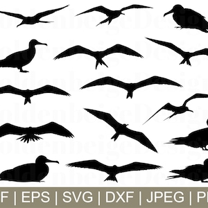 Frigate Birds Svg, Frigate Birds Cut File, Frigate Bird Silhouette, Frigate Birds Dxf, Jpeg, Png