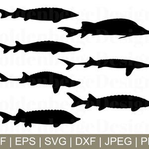 Sturgeon Fish Svg, Sturgeon Silhouette, Sturgeon Vector, Fish Silhouette, Sturgeon Dxf, Svg, Png, Jpeg