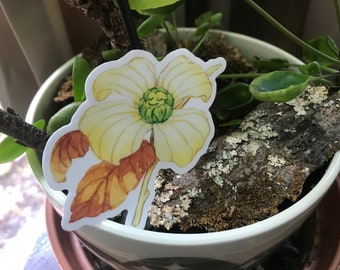 Dogwood Blossom 3" Sticker