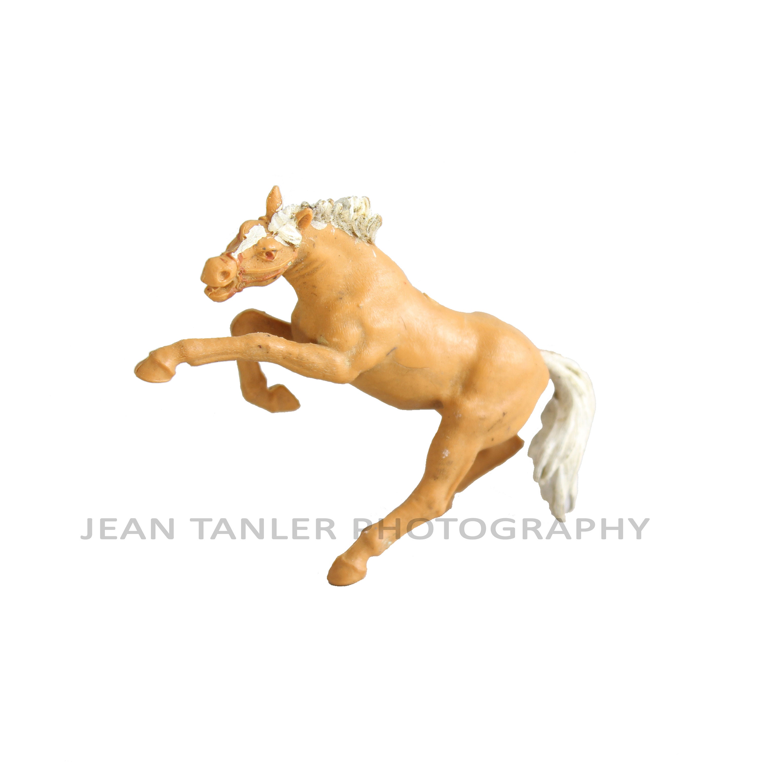 bucking horse toy