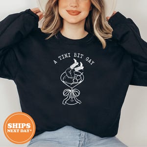 Gay Cowgirl Hoodie, Sapphic Sweatshirt, WLW Pride Hoodie, Subtle Bi Pride Sweater, Queer Aesthetic Pullover, Lesbian Femme Sweatshirt