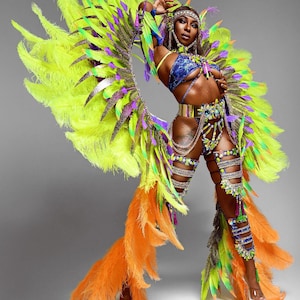 Carnival Costume, Cosplay,Samba, Feathers, Caribbean Costume