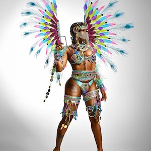 Carnival Warrior Costume with decorated bra / panty, Cosplay, Samba, Feathers, Caribbean Costume