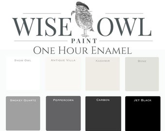 Wise Owl One Hour Enamel Paint - Gallon