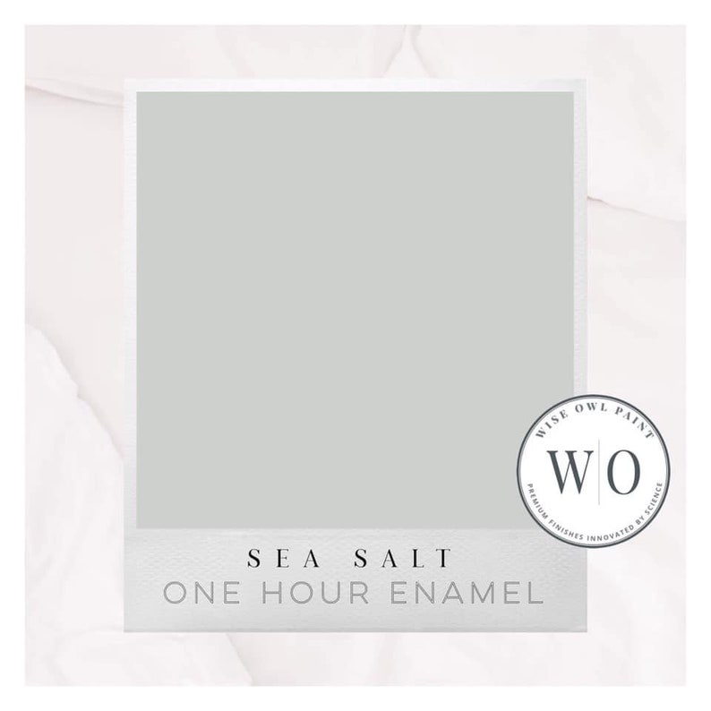 New Free Shipping Sea Salt Wise Owl One Hour Enamel Paint