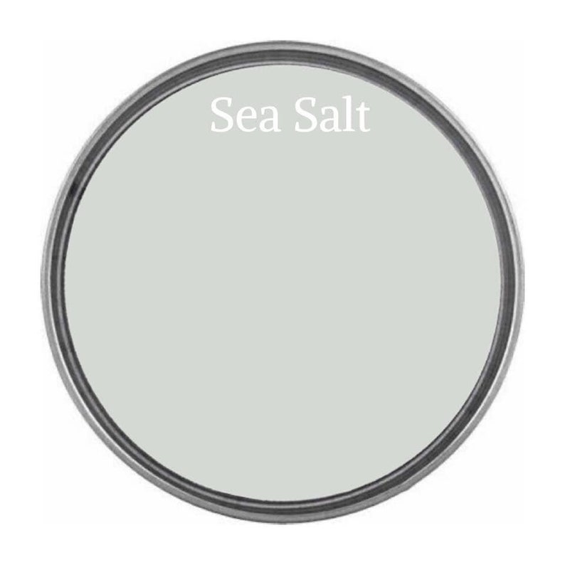 New Free Shipping Sea Salt Wise Owl One Hour Enamel Paint