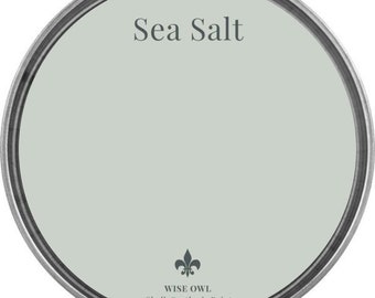 Sea Salt (Light Seafoam Gray) - Wise Owl Chalk Synthesis Paint