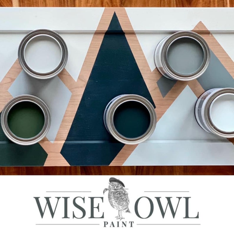 New Free Shipping Sea Salt Wise Owl One Hour Enamel Paint