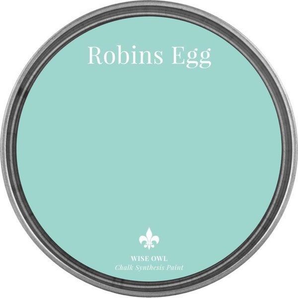 Robins Egg Blue Etsy