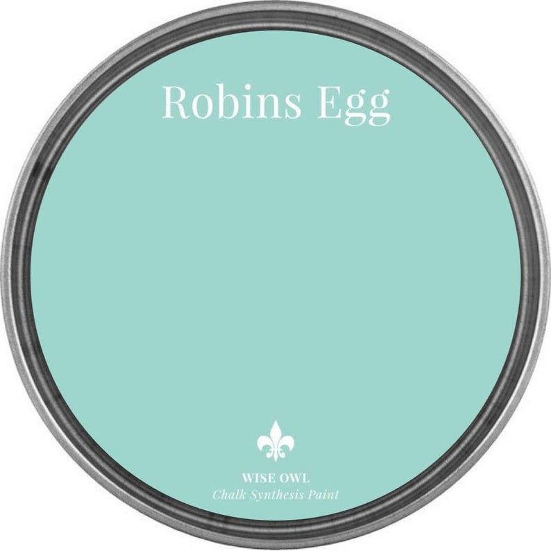 Robins Egg bright Pale Blue Wise Owl Chalk Synthesis Paint Etsy