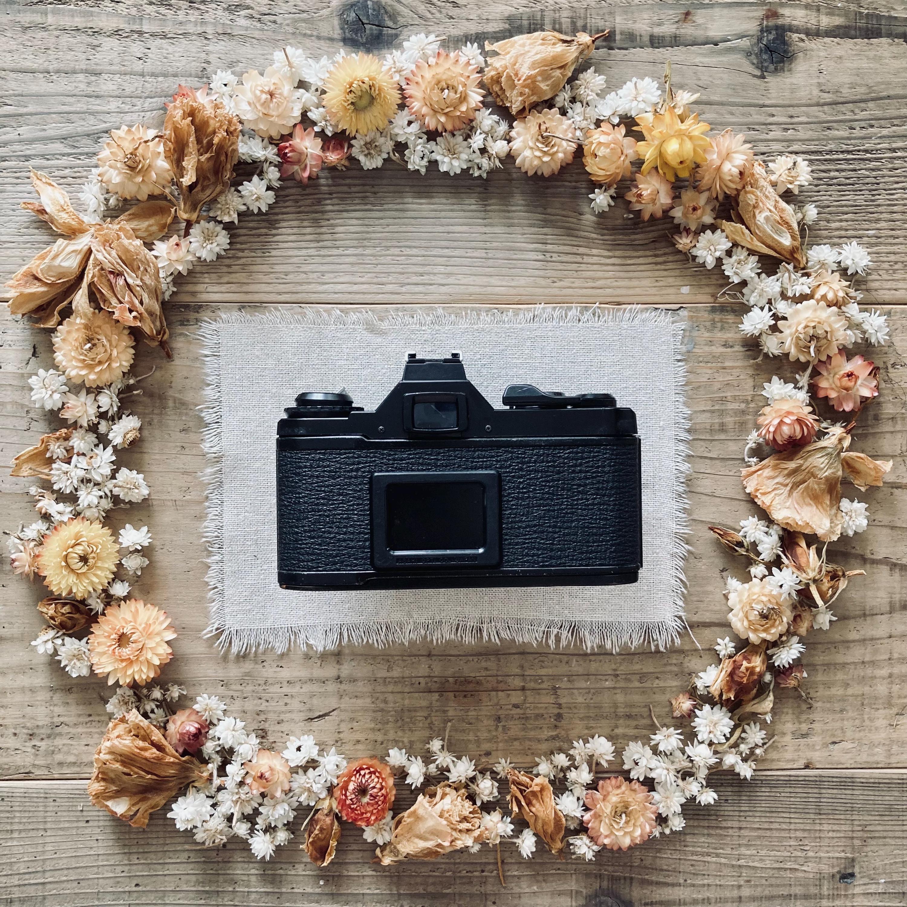 ペンタックスmv1/タクマー50mmf2の修理 - Etsy Canada