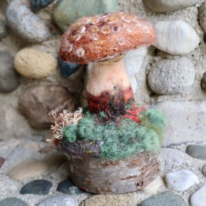 The Blusher Mushroom Sculpture, Needle felted wool fungi model