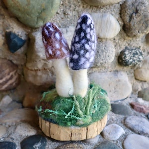 Magpie Inkcap Mushroom Sculpture on a Black Locust wood slab, needle felted black and white wool fungi model