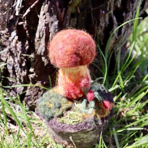 Bicolor Bolete Mushroom Sculpture on Black Cherry wood slab, needle felted wool fungi model