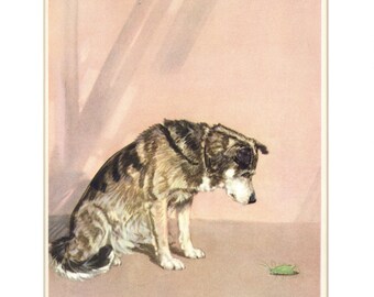 A Pet Husky 1931 Vintage Print from The Dog Book, Illustrated by Diana Thorne