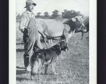 Vintage 1930's Black Shepherd Working Dog on Farm, Black and White Book Print of John Calvin Allen Photograph