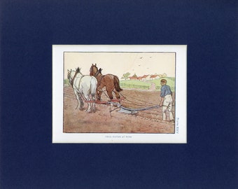 Farm Animal Antique Print of Drill Plough at Work - circa 1908