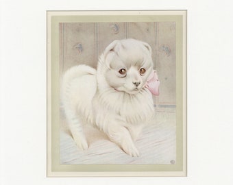 Beautiful Baby Dogs Vintage 1929 Large Pomeranian Dog Print by Edward J. Detmold