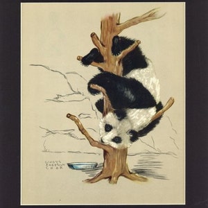 Entzückender Zoo Friends Vintage 1943 Panda Kunstdruck von Gladys Emerson Koch