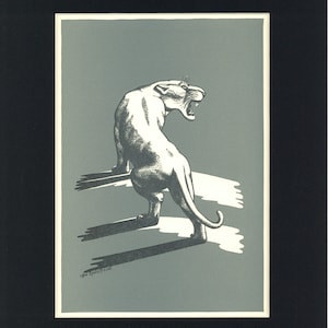Ku-ma il giaguaro da Racconti di animali, di Ivan T. Sanderson, stampa d'epoca del 1946