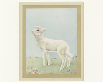 Beautiful Domestic Farm Animals 1921 Master Woollycoat Antique Print