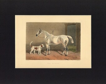 May include: A vintage lithograph print of a white horse and a white and brown dog standing in a stable. The print is titled "The Hunter".