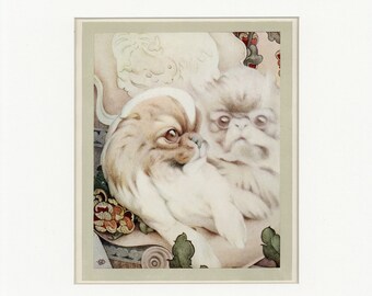 Beautiful Baby Dogs Vintage 1929 Pekinese Spaniel Print by Edward J. Detmold