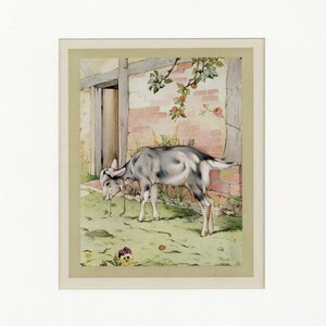 Beautiful Domestic Farm Animals Antique 1921 The Independent Goat Print