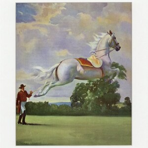 Vintage Lipizzan Horse Illustration from 1951 Album of Horses