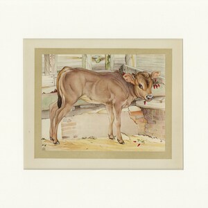 Beautiful Domestic Farm Animals 1921 Cow Antique Print image 1