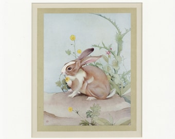 Beautiful Domestic Farm Animals Vintage 1921 White-tails Rabbit Print