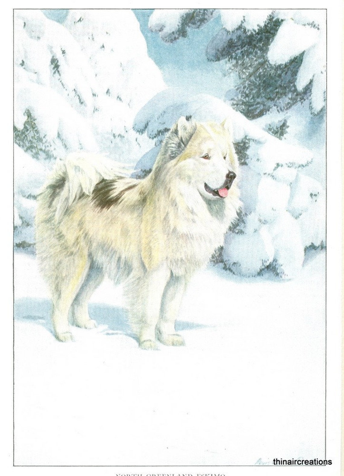 1919 North Greenland Eskimo Dog Vintage Print Etsy