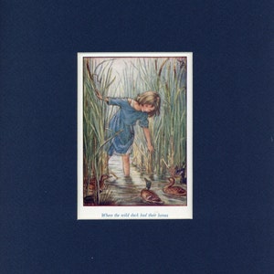 Adorable circa 1940&#39;s Susan and Wild Ducks Vintage Cicely Mary Barker Print
