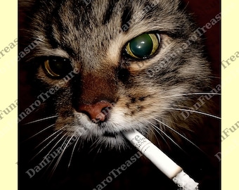 Funny Smoking Cat Meme png, Cigarette Kitty Gen Z Joke png, Stupid Brainrot Gift png, Cat Smoking Cigarette Meme, Cat Lover png