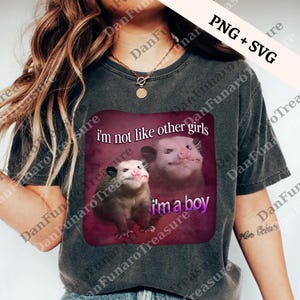Funny I'm Not Like other Girl I'm a Boy png, Meme Graphic Digital File, Funny Animal png, Silly Meme png, Trendy png, Funny png for Women