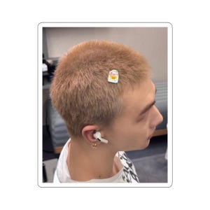 Stray Kids Hyunjin Kiwi Sticker