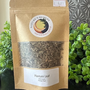 Organic Dried Plantain Leaf – Plantago major | Herbal Tea, Salves & Skincare | 100% Natural