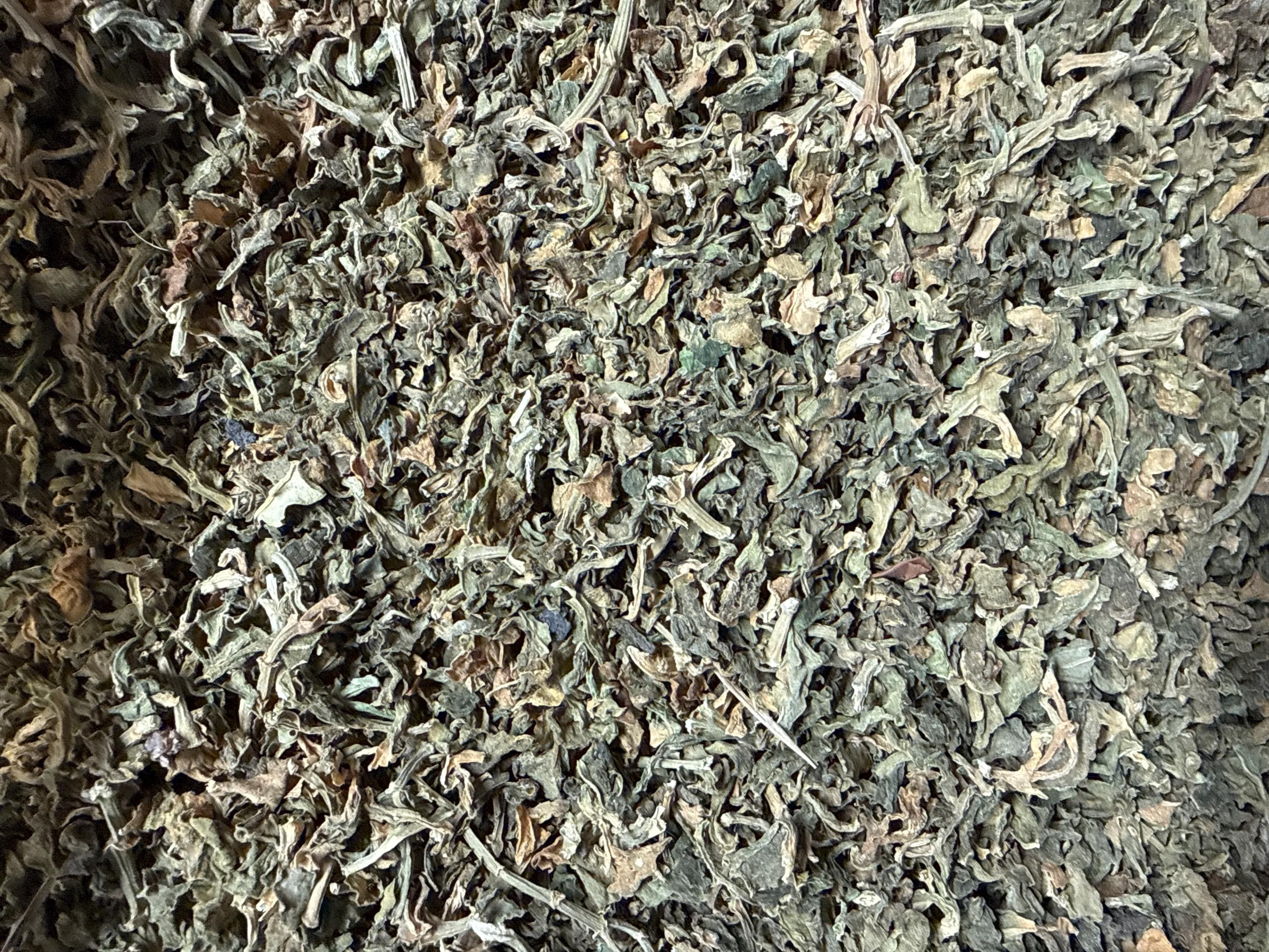 Kanna (sceletium Tortuosum) – Raw Dried Aerial Parts