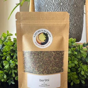 Wildcrafted Uva Ursi Leaf: Dried Bearberry Herb for Tea & Ritual