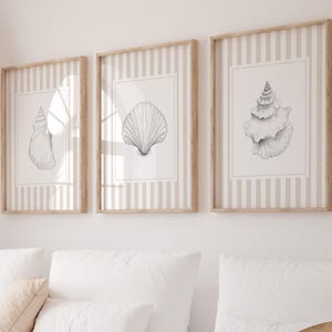 Peut inclure: Trois impressions d'art de coquillages encadrées. Chaque impression présente une illustration détaillée en noir et blanc d'un coquillage différent. Les cadres sont en bois clair et le fond est un motif à rayures beiges et blanches. L'art est exposé au-dessus d'oreillers blancs.
