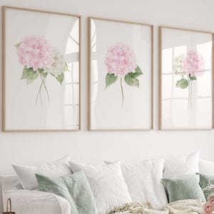 May include: Three framed floral art prints featuring watercolor paintings of pink and white hydrangeas with green leaves. The prints are displayed above a white sofa with decorative pillows. The frames are a light wood color.
