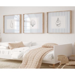 May include: Three framed seashell prints with light blue and white striped backgrounds hang above a bed with a beige comforter and pillows. The prints have wooden frames and showcase detailed seashell illustrations.