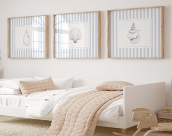 Seashell Wall Art Set | Blue Striped Coastal Prints | Underwater  (Digital Download)