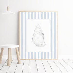 Seashell sketch printable art coastal wall decor set nautical ocean illustration posters