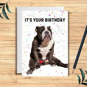 Birthday Card Funny