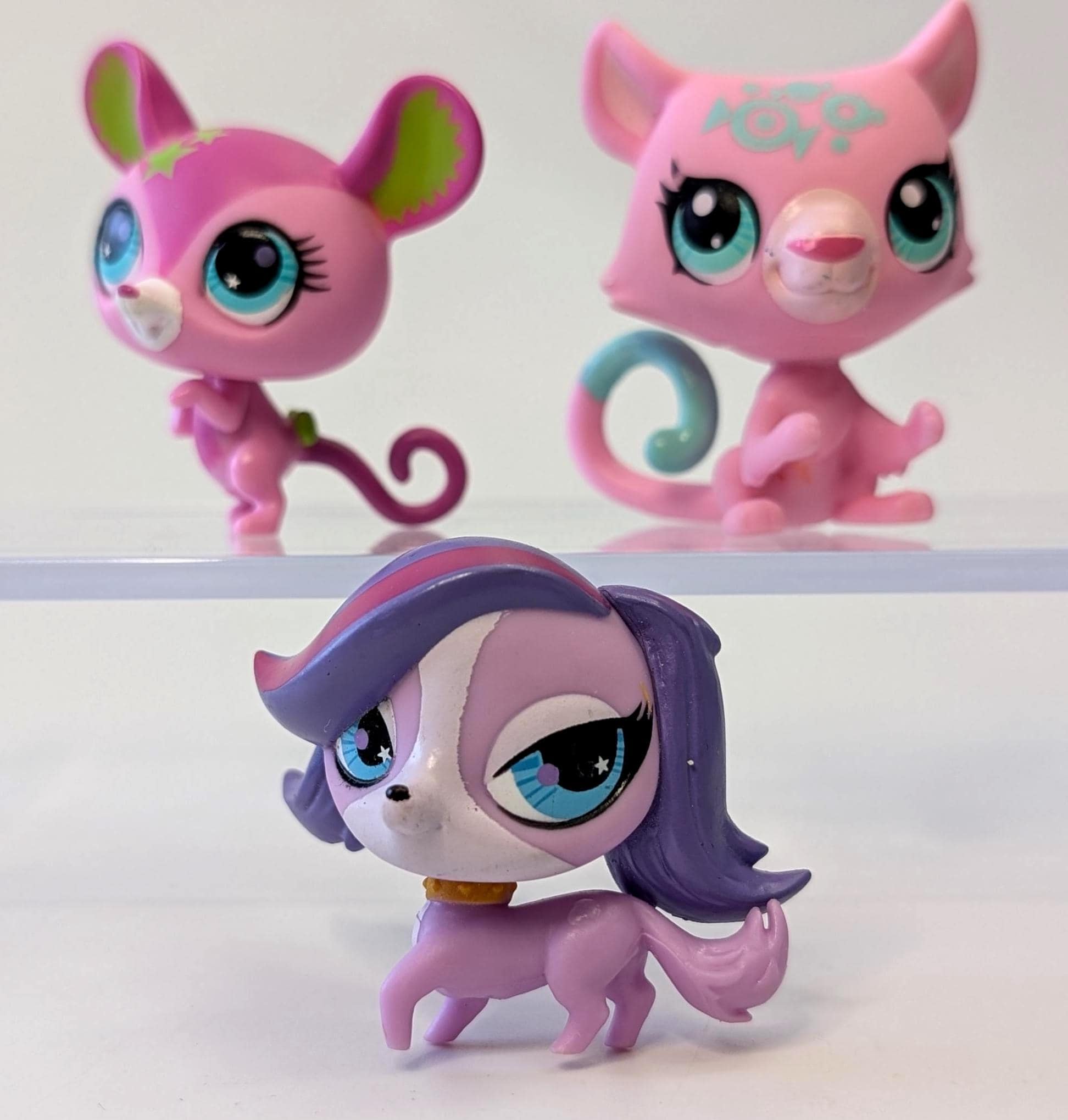 LPS【コエダナガレハナ＋リュウキュウキッカ】＋ディスクR+スジチヂミトサカ Littlest Pet Shop - Dog - Zoe Trent - Souris - Jaguar - Sold