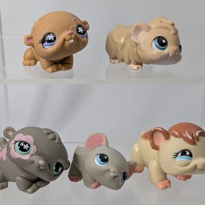 Littlest Pet Shop Pig - Etsy