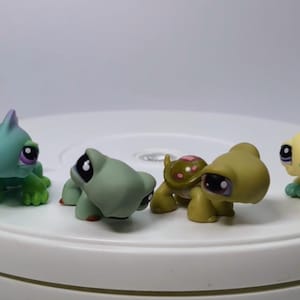 May include: A selection of small turtle figurines in shades of green, yellow, and blue. Each toy turtle has large eyes and unique features, such as a pink and green shell or a fin. The toys are displayed on a white surface.