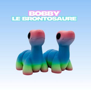 3D Articulated Brontosaurus Dinosaur - Rainbow Figurine - Unique Christmas Gift - Fun and Colorful Biodegradable PLA Decor - Christmas Gift
