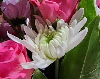 Beautiful Flower Photography, multiple Flowers, Digital Download